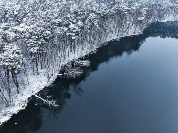 Létání Nad Zasněženým Lesem Malou Řekou Zimě Polsko Letecký Pohled — Stock fotografie