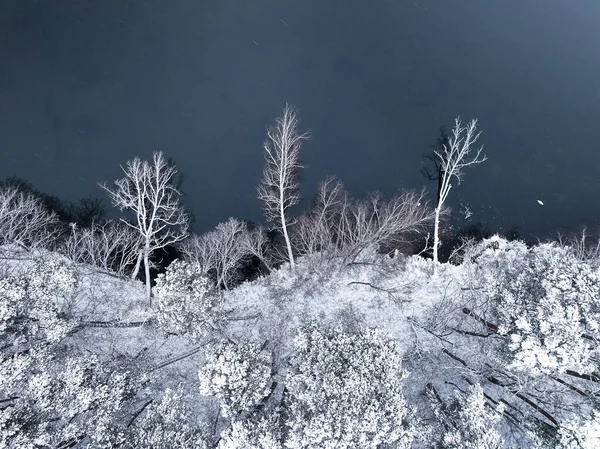 飞越波兰的小河和白森林 树被雪覆盖着 — 图库照片