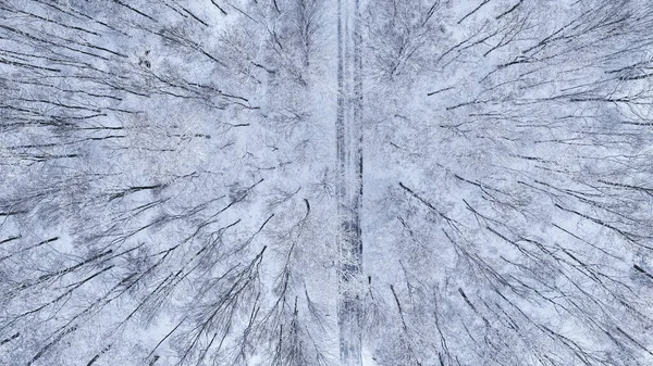Vista Aérea Floresta Com Neve Estrada Rural Inverno Vida Selvagem — Fotografia de Stock