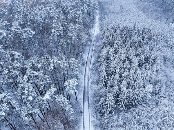 Aerial View Small Road White Forest Winter Trees Covered Snow — Stock Photo, Image
