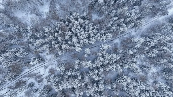 Vista Aérea Bosque Nevado Carretera Rural Invierno Los Árboles Están —  Fotos de Stock