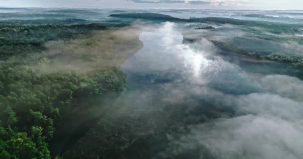Озеро Фоггі Ліс Восени Світанку Повітряний Вид Дикої Природи Польщі — стокове відео