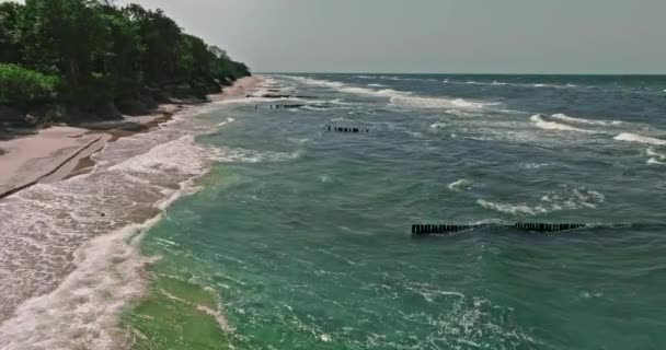 Plaża Nad Bałtykiem Lecie Polska Turystyka Morzu Bałtyckim — Wideo stockowe