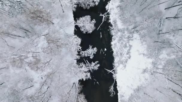 Flyg Över Skog Med Snö Och Strömmande Flod Polen Träden — Stockvideo