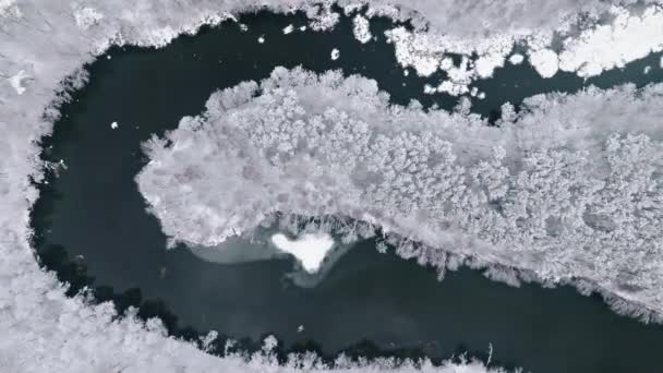 Létání Nad Řekou Které Zimě Protéká Zasněženým Lesem Polsko Pohled — Stock video