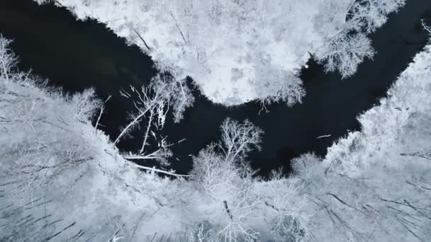 Luchtfoto Van Brda Rivier Besneeuwd Bos Winter Luchtfoto Van Wilde — Stockvideo