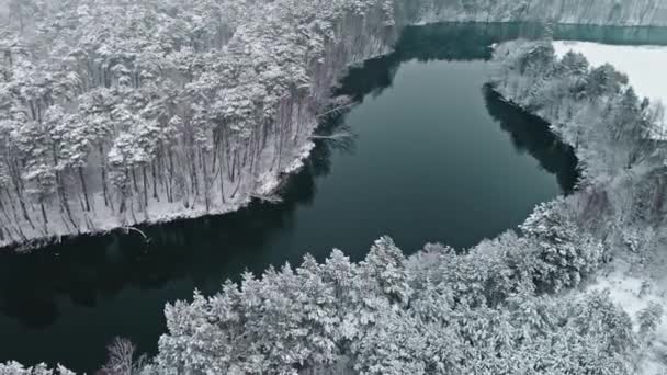 Voler Dessus Forêt Enneigée Petite Rivière Hiver Pologne Vue Aérienne — Video