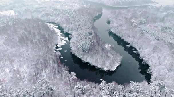 Πετώντας Πάνω Από Λευκό Δάσος Και Κρύο Ποτάμι Χειμώνα Πολωνία — Αρχείο Βίντεο