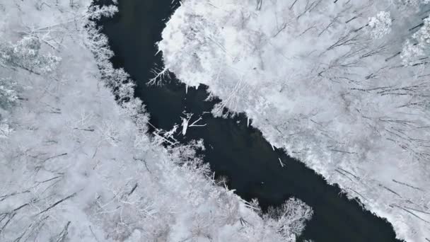 Top View River Flowing Snow Covered Forest Winter Trees Covered — Stockvideo