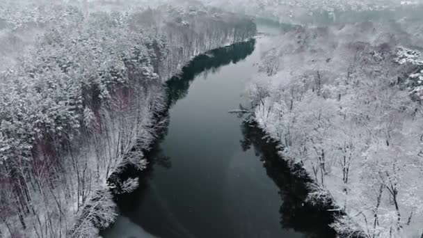 Aerial View Snowy Forest Cold River Winter Aerial View Wildlife — Stockvideo