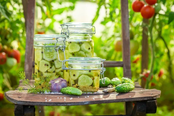 Pickled cucumbers in greenhouse with garlic and dill. Preserved vegetables for the winter.