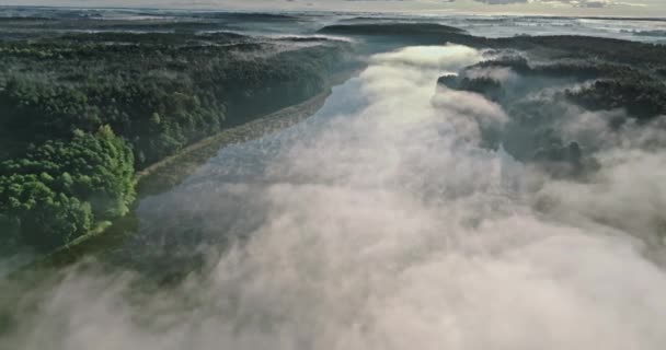 Εναέρια Άποψη Της Ομίχλης Πάνω Από Λίμνη Φθινόπωρο Στην Ανατολή — Αρχείο Βίντεο