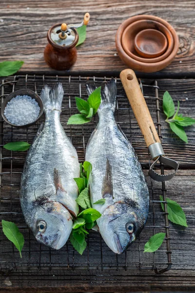 Seasoning Whole Sea Bream Mint Lime Leaves Grill Summer — Stock Photo, Image