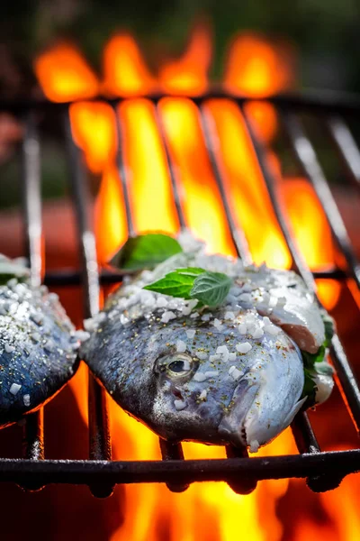 用香草和盐在夏季篝火上烤烤鱼 — 图库照片