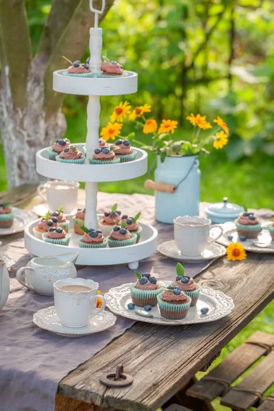 Zoete Heerlijke Chocolade Muffin Met Room Bosbessen Cupcakes Geserveerd Met — Stockfoto