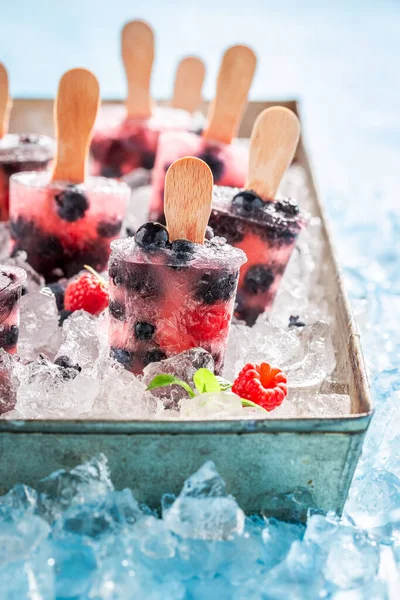 鲜味和新鲜的浆果水果冰淇淋放在手杖上 用水和浆果做的山楂 — 图库照片