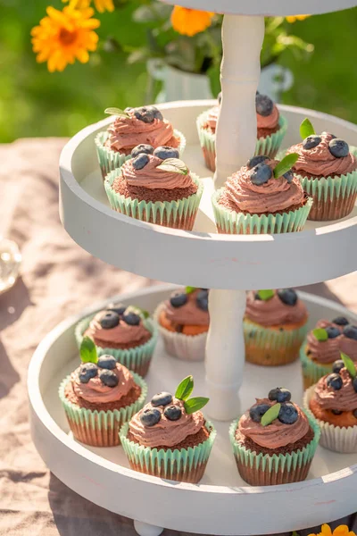 Tasty Homemade Chocolate Muffin Made Berries Cream Muffins Plate Summer — Stock Photo, Image