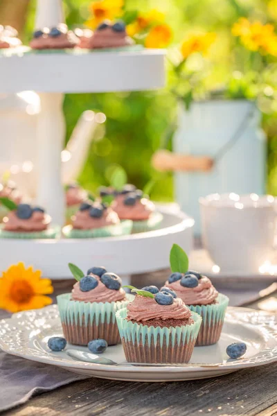 Tasty Homemade Chocolate Muffin Sunny Garden Muffins Plate Summer Garden — Stock Photo, Image