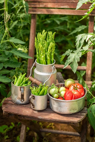 新鲜而成熟的蔬菜混合在乡村温室里 园中的自制蔬菜 — 图库照片