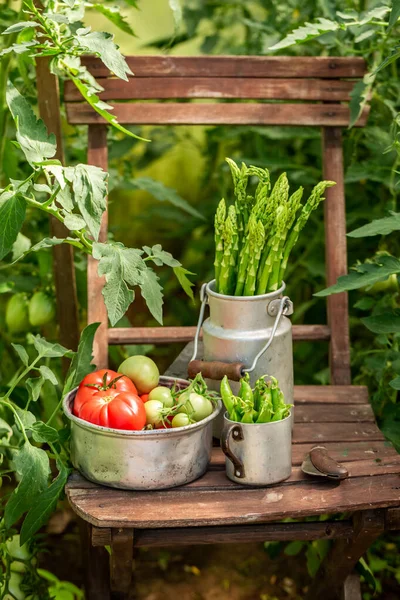 野菜とエンドウ豆とトマトの健康的でおいしいミックス 家庭菜園の有機野菜 — ストック写真