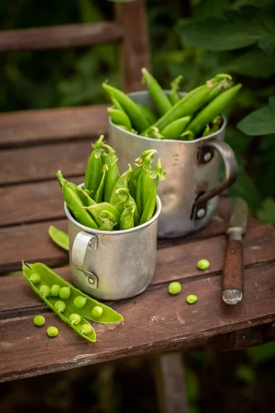 Здоровый Вкусный Зеленый Горошек Новые Овощи Весной Органические Овощи Домашнем — стоковое фото