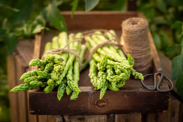 新鲜健康的绿色芦笋生长在花园里 家庭菜园里的有机蔬菜 — 图库照片