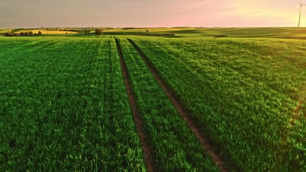 日出时分的乡间绿地鸟瞰 波兰农业的空中观点 — 图库视频影像