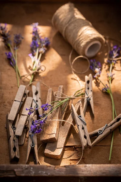Fresh Violet Lavender Drying Garden Homegrown Aromatic Flowers — Stock Photo, Image