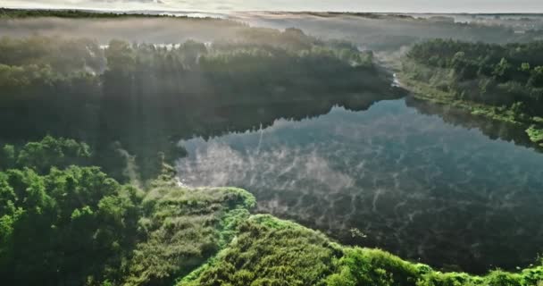 Vista Aérea Vale Nebuloso Com Rio Outono Nascer Sol Vida — Vídeo de Stock