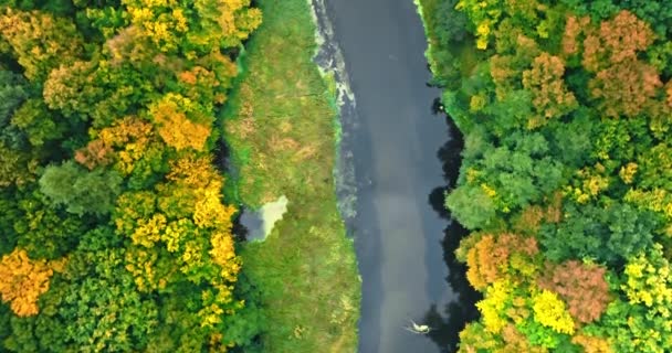 Widok Góry Rzekę Las Jesienią Natura Polsce Europie — Wideo stockowe