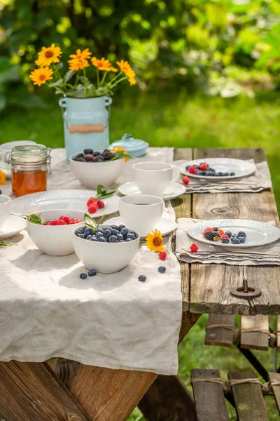Tasty Sweet American Pancakes Breakfast Sunny Garden Breakfast Spring Garden — Stock Photo, Image