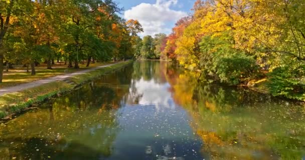 Letecký Pohled Podzimní Řeku Brdu Bydgoszcz Polsko Polský Zlatý Podzim — Stock video