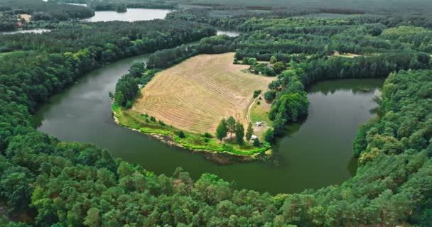 Ліси Річка Влітку Дика Природа Польщі Аерофотозйомка Природи — стокове відео