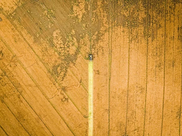Vista Aérea Combinar Cosecha Campo Grande Verano Polonia Agricultura Polonia — Foto de Stock
