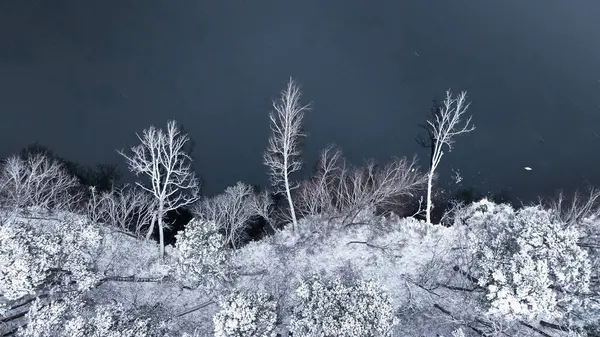 Вид Зверху Засніжений Ліс Невелику Річку Взимку Польща Аерофотозйомка Дикої — стокове фото
