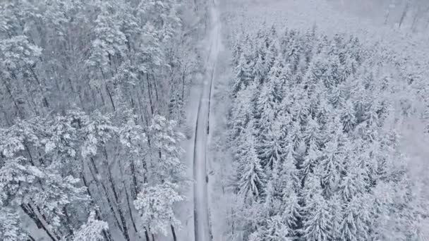Luchtfoto Van Besneeuwde Weg Wit Bos Winter Bomen Zijn Bedekt — Stockvideo
