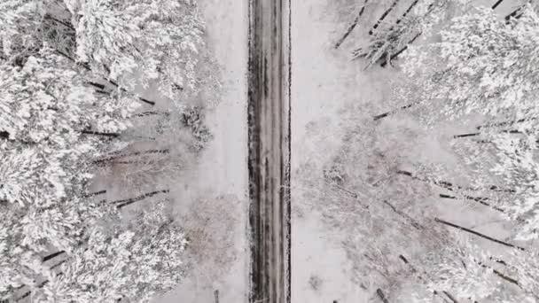 Widok Lotu Ptaka Biały Las Śnieżną Drogę Zimą Polska Dzika — Wideo stockowe