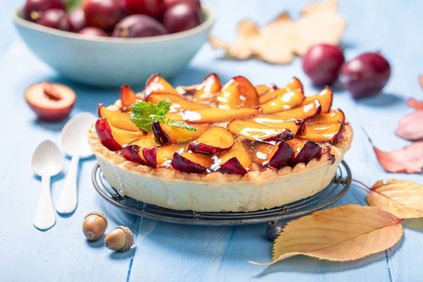 Delicious plum tart made of jelly, cream and fruits. Cake made of cream and plums.