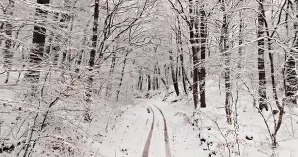 Landelijke Weg Door Winter Bevroren Bos Met Rijm Polen Natuur — Stockvideo