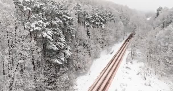 Śnieżna Droga Wiodąca Przez Mrożony Las Transport Zimą Widok Lotu — Wideo stockowe
