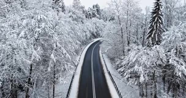 Winterbos Met Rime Sneeuw Gedeeld Door Asfaltweg Polen Natuur Winter — Stockvideo