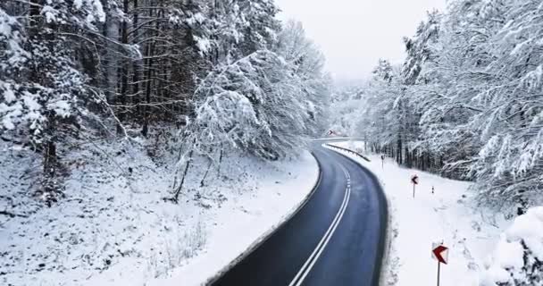 Zimowa Droga Asfaltowa Mroźny Las Rime Śniegiem Polska Natura Zimą — Wideo stockowe