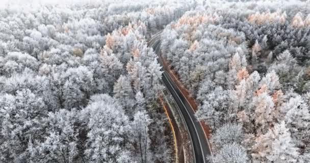 Latające Nad Asfaltową Drogą Zamarznięte Kolorowe Lasy Rime Zimie Polska — Wideo stockowe