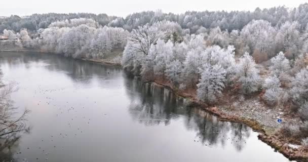 Studená Řeka Zamrzlý Les Chrastítkem Letecký Pohled Zimní Přírodu Polsku — Stock video