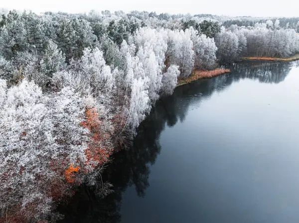 Κατεψυγμένα Δάση Καλυμμένα Rime Στο Ποτάμι Χειμώνα Πολωνία Άγρια Ζωή — Φωτογραφία Αρχείου