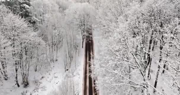 Śliska Śnieżna Droga Wiodąca Przez Mroźny Las Transport Zimą Widok — Wideo stockowe