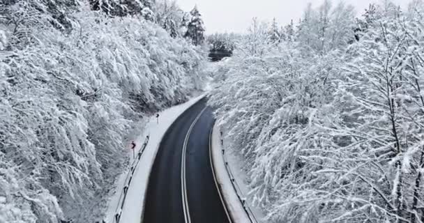 Zimowy Las Śniegiem Rime Podzielony Asfaltową Drogą Polska Natura Zimą — Wideo stockowe