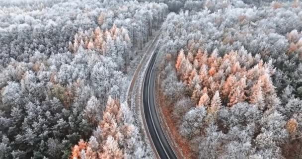 Winter Asfaltweg Tussen Kleurrijke Bevroren Bos Met Rijm Polen Wilde — Stockvideo