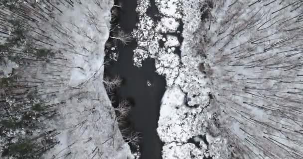 Πάνω Κάτω Θέα Του Ποταμού Και Χιονισμένο Δάσος Χειμώνα Αεροφωτογραφία — Αρχείο Βίντεο