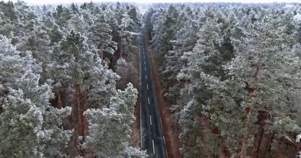 Volando Por Encima Carretera Asfalto Bosque Congelado Con Rima Invierno — Vídeo de stock